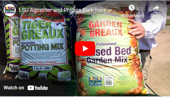 LSU AgCenter and Phillips Bark have worked to create garden potting mixes 